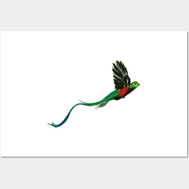 Costa Rica Quetzal Watercolor Wall Art by julyperson